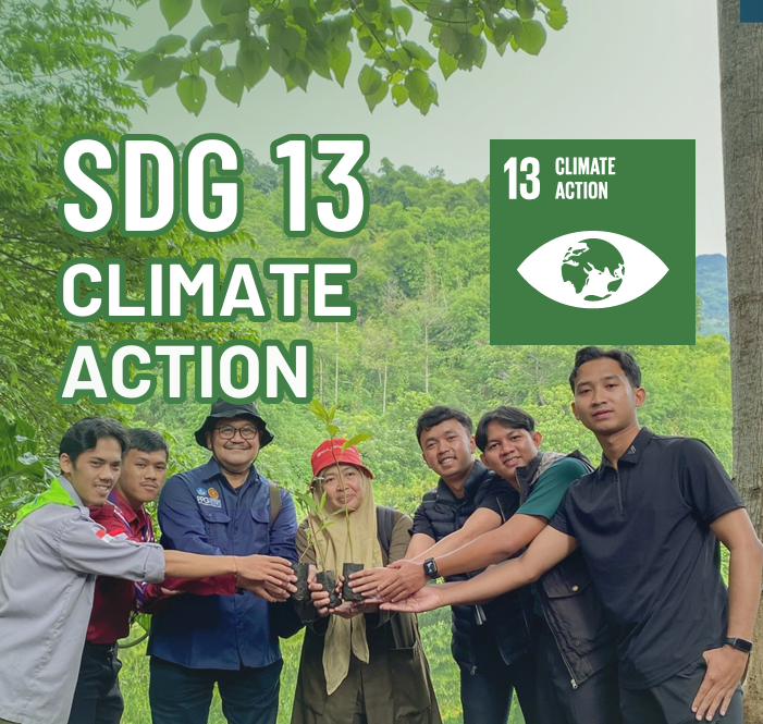 SDG 13