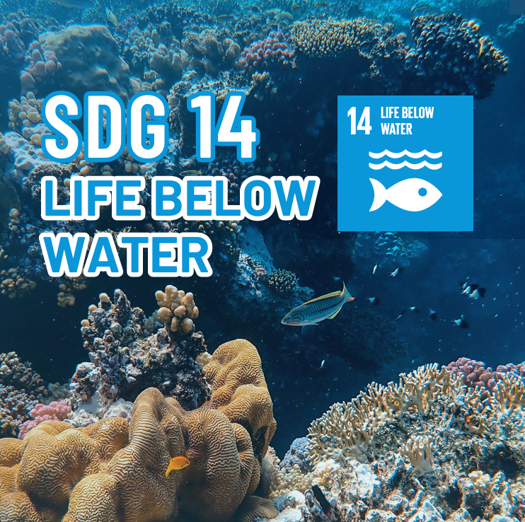 SDG 14