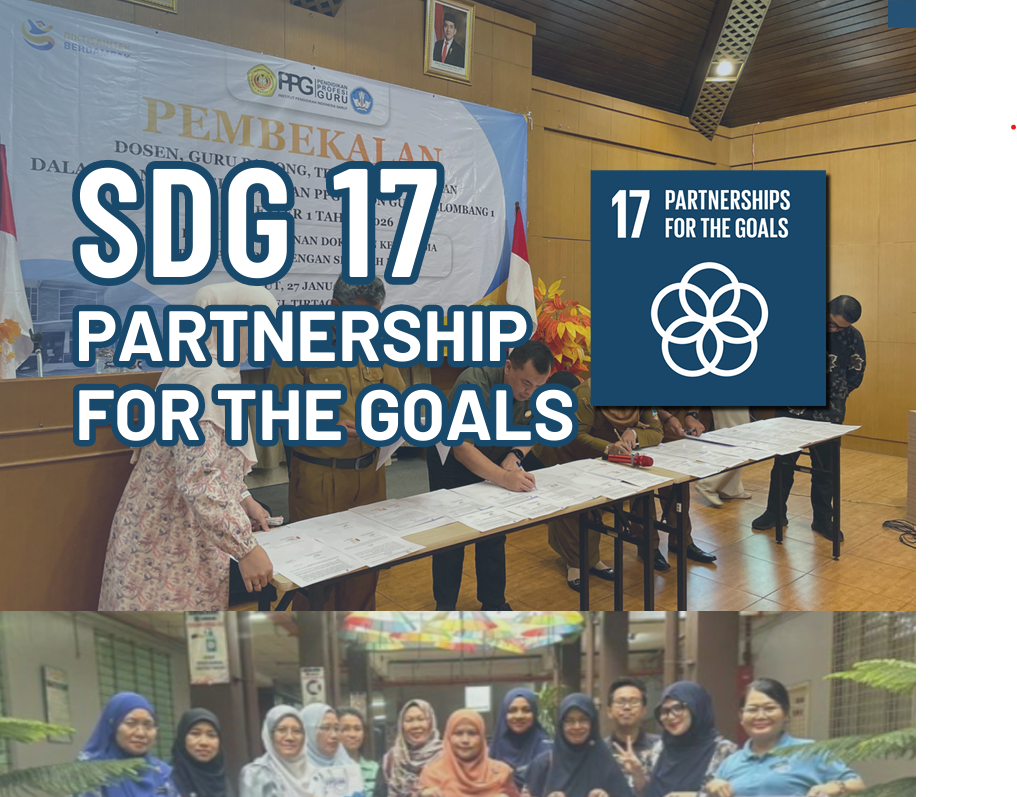 SDG 17