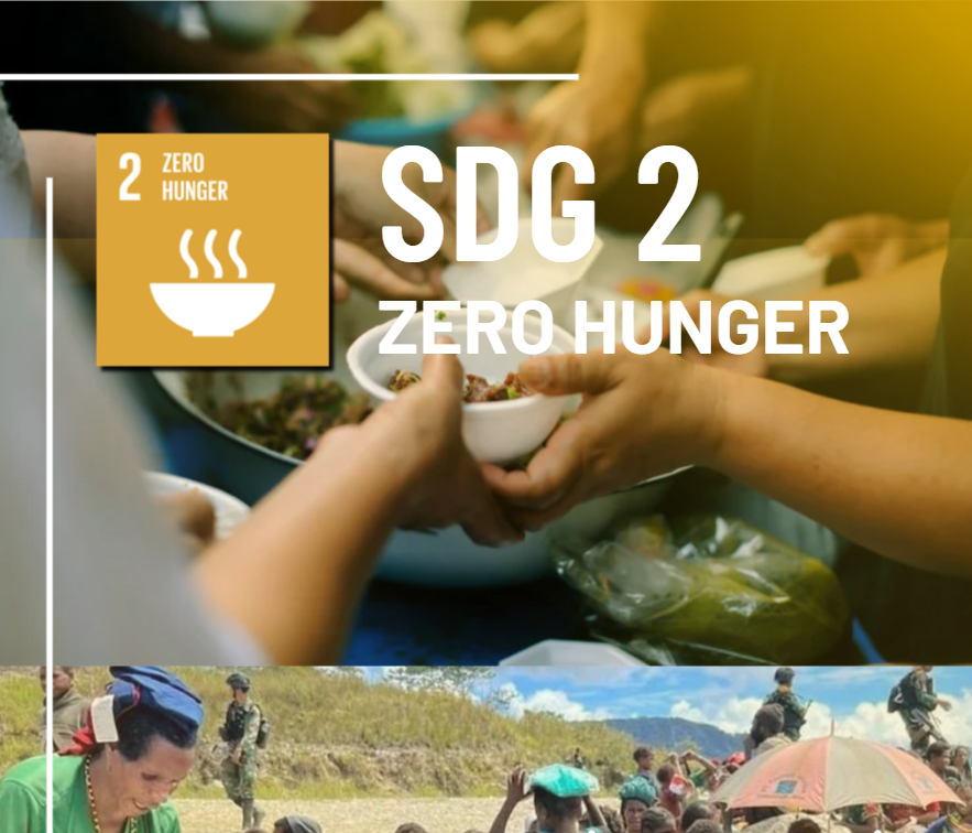SDG 2