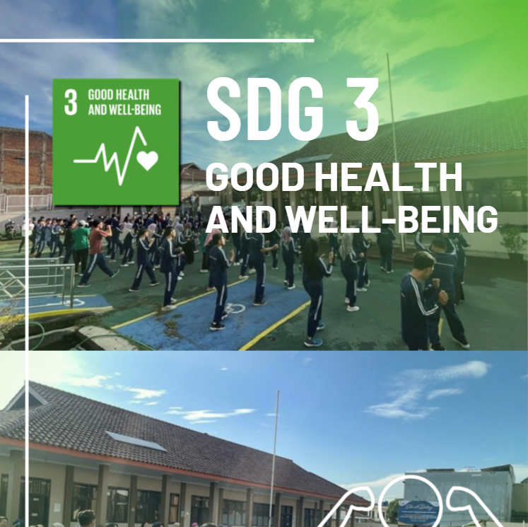 SDG 3