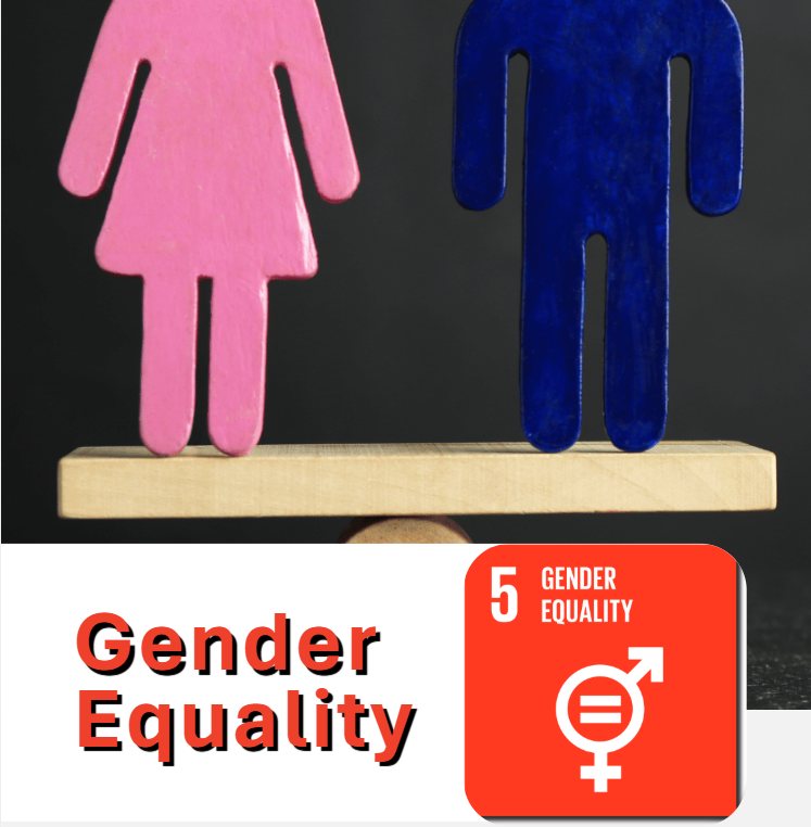 SDG 5